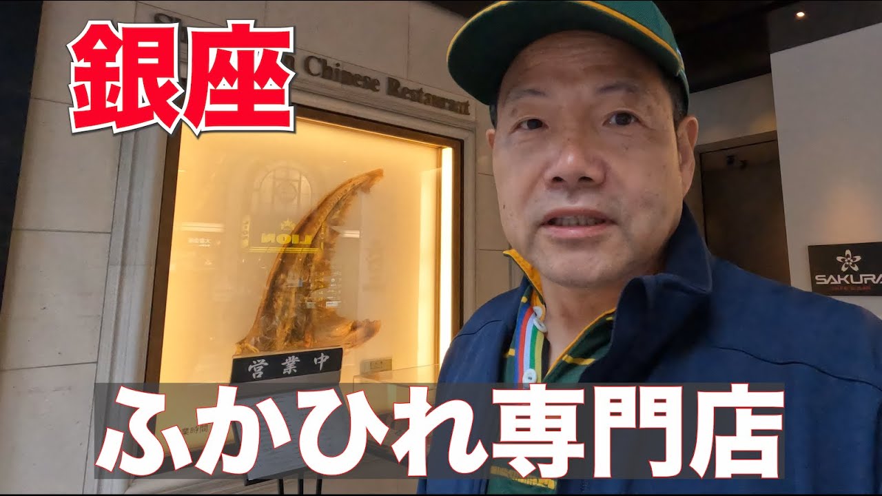 【銀座グルメ】ふかひれ専門店、筑紫楼でフカヒレの姿煮を食べる！【中華料理ランチ】