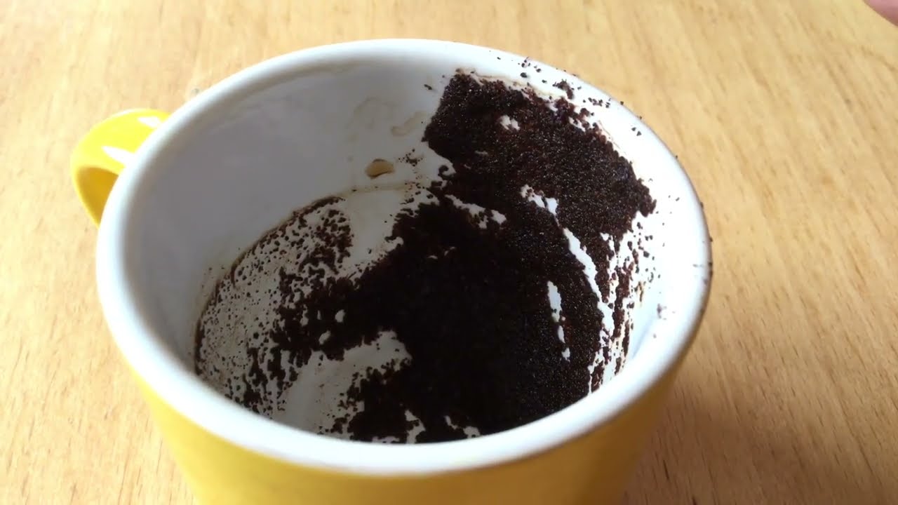 Leo February 21, 2022 Weekly Coffee Cup Reading by Cognitive Universe