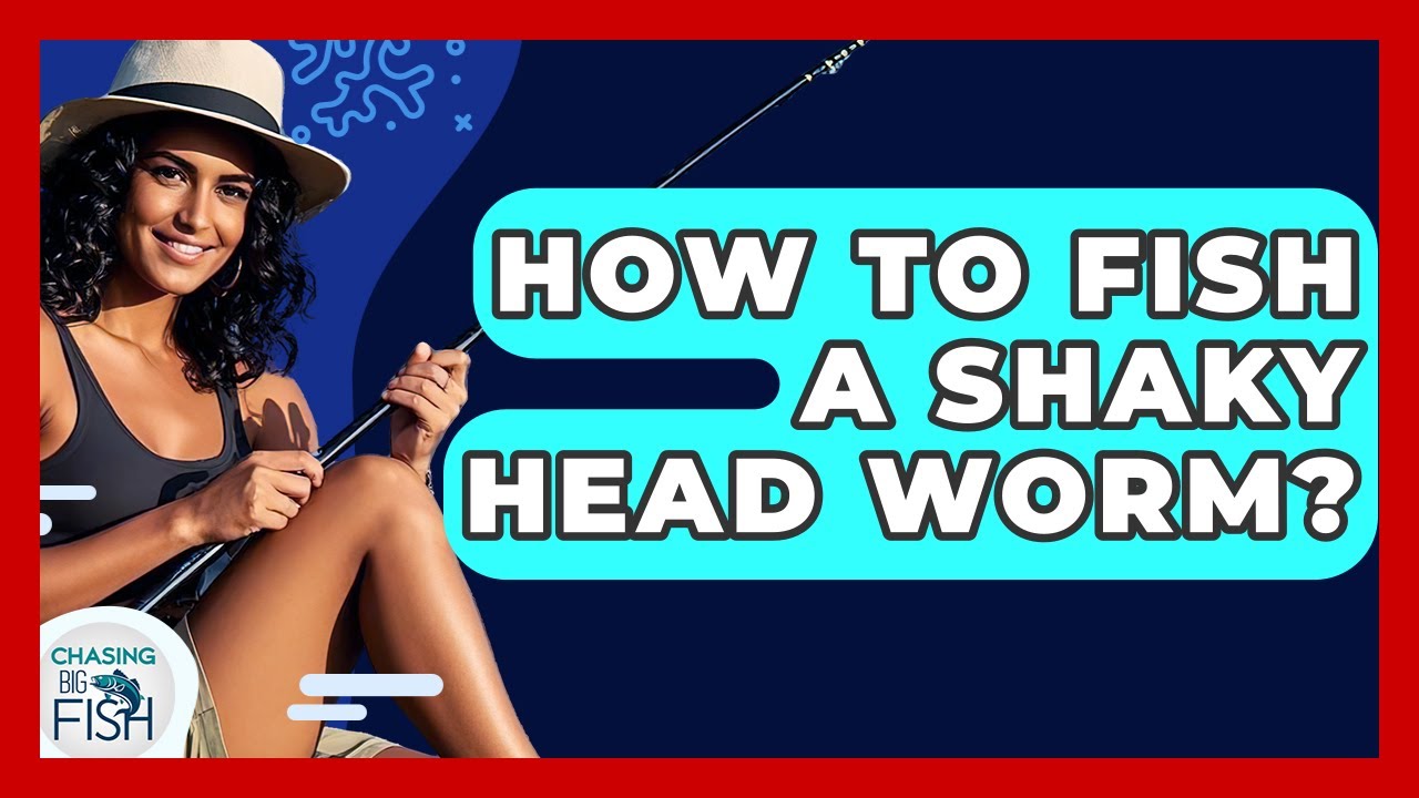 How To Fish A Shaky Head Worm? - Chasing Big Fish