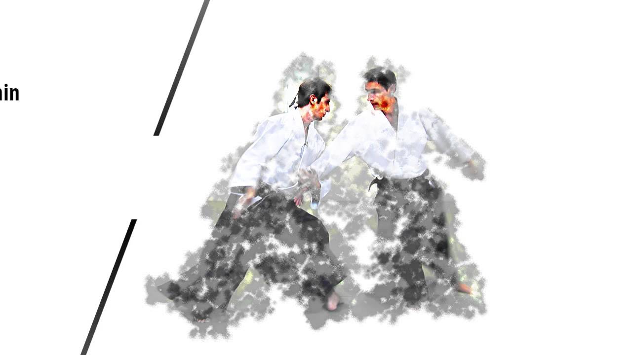 Aikido Academy  - Cercle Tissier Seminars 2015-2016