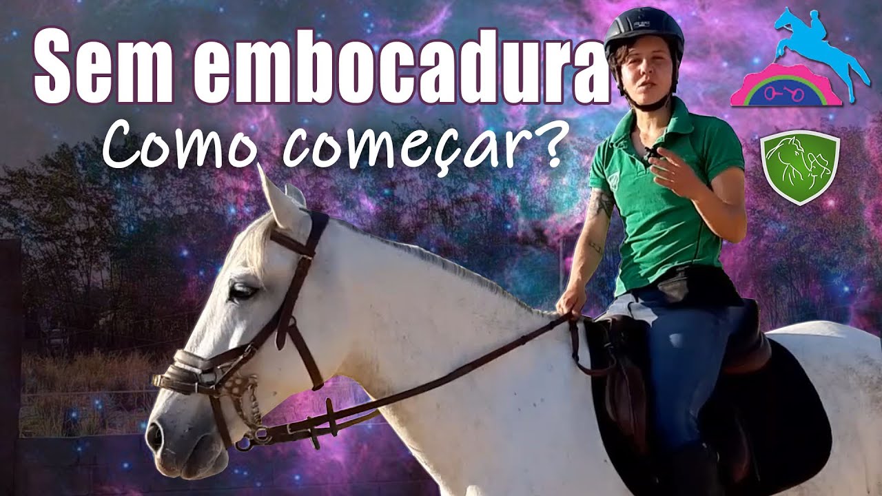 Como  montar cavalo sem embocadura (bitless) - exercícios para iniciar