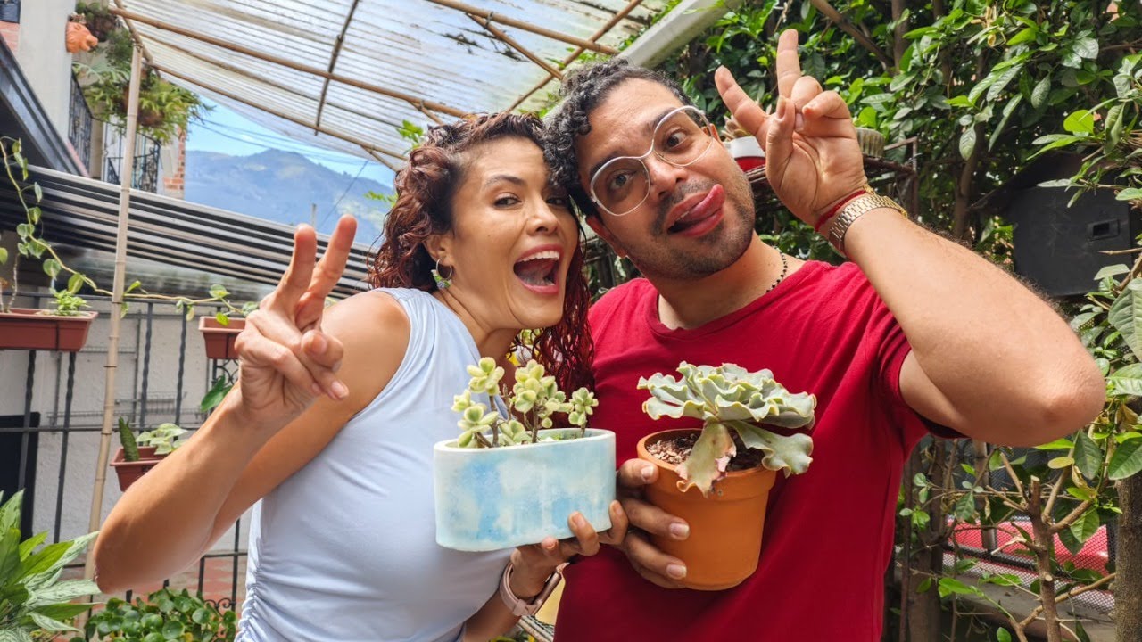 Marcando y organizando suculentas con Camilo en el nuevo jardín