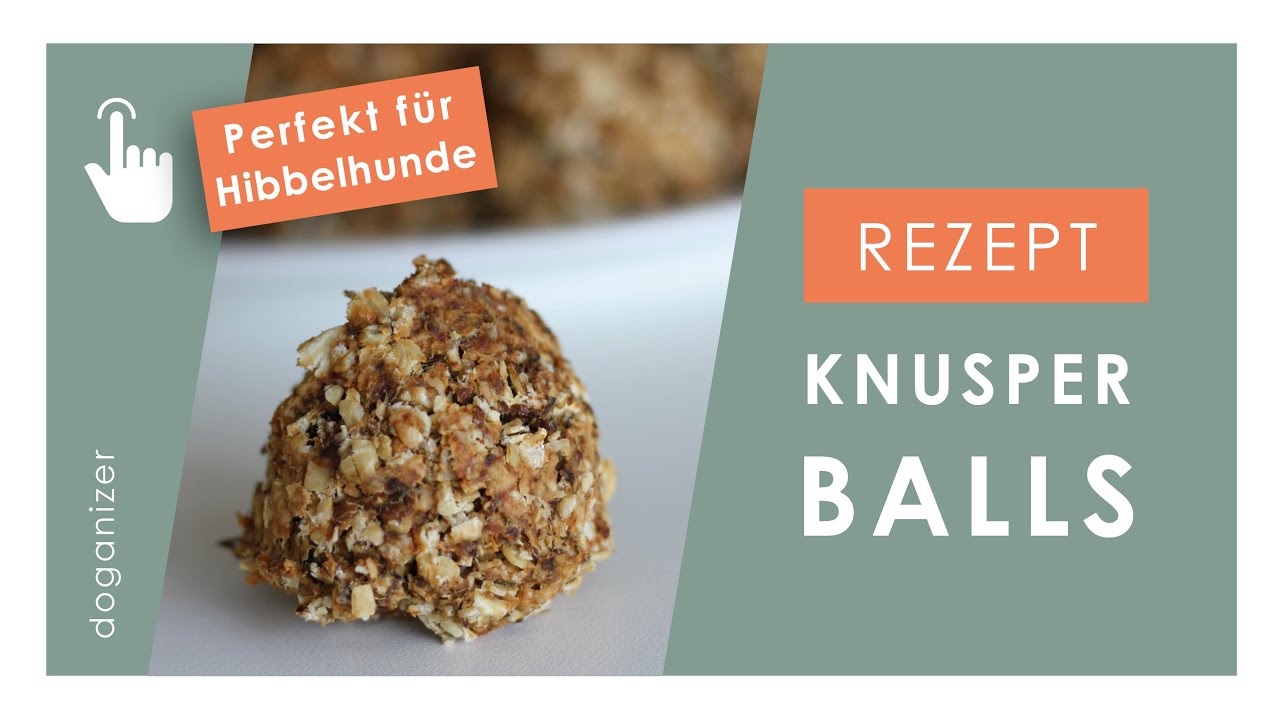 Rezept für Hunde | extra große Hundekekse | Knusperballs