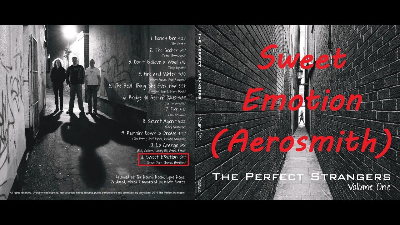 11 Sweet Emotion (The Perfect Strangers - Volume One)