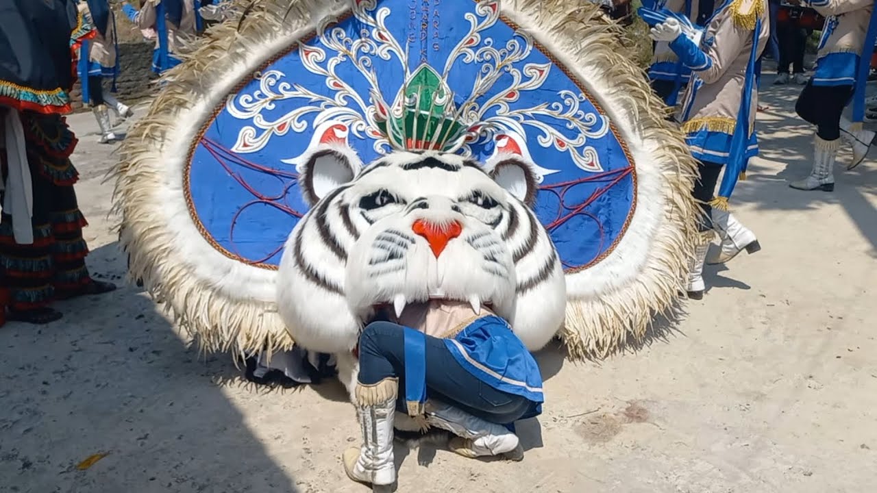 Mayoret Di Makan Barongan Jmp Drumband Di Bogosari Guntur Demak