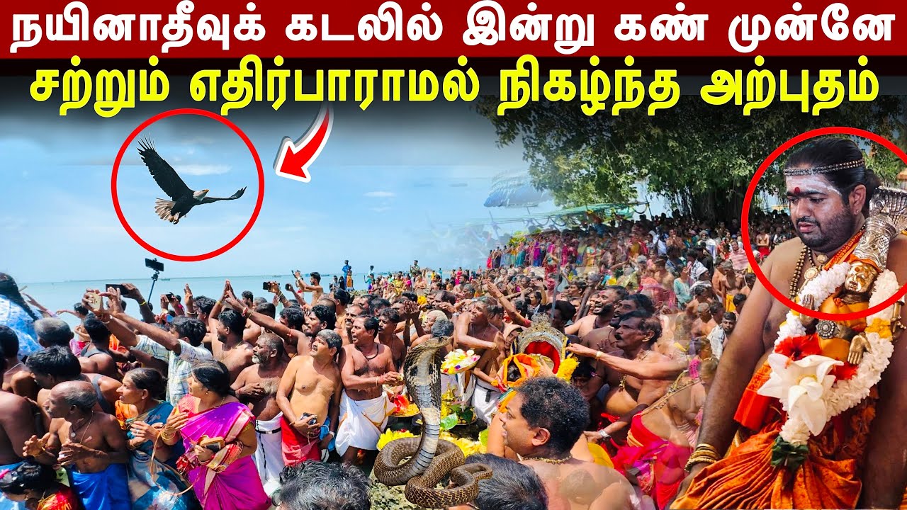 இன்றும் நாகதீவில் கண்முன்னே நிகழ்ந்த அற்புதம் ! திடீரென பாம்பாக மாறி மெய்சிலிர்க்க வைத்த நிமிடங்கள்!