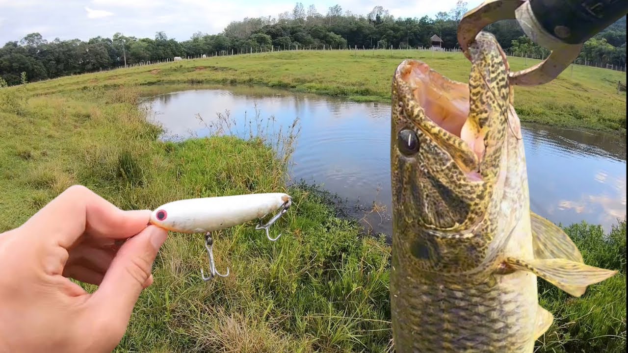 MUITA TRAÍRA NA ISCA ZARA. Achei o ninho das bocudas