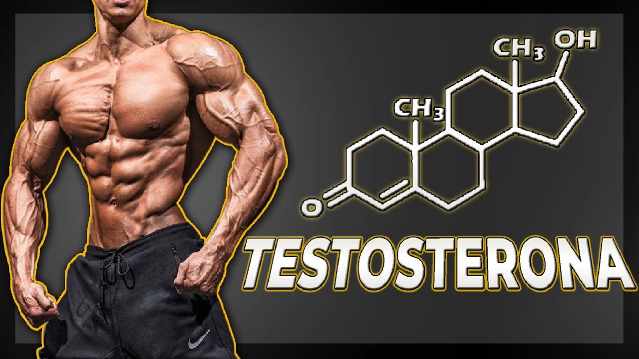 QUE ES LA TESTOSTERONA | PABLO PIZZURNO