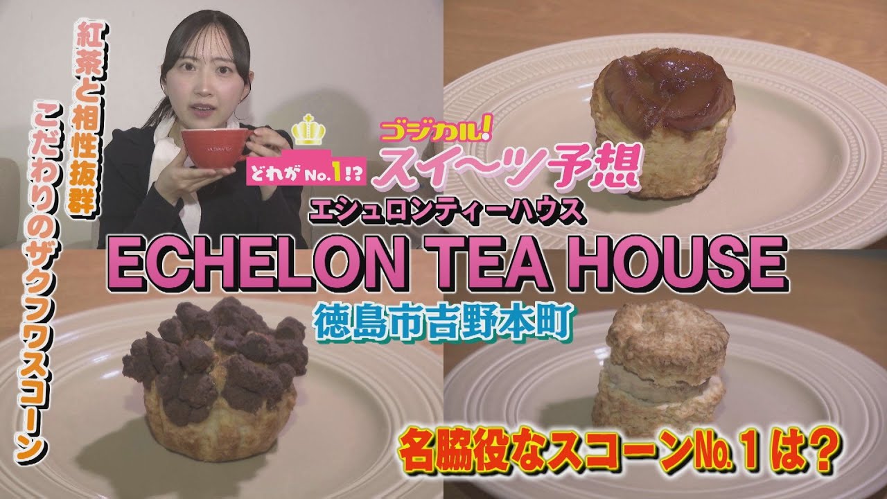 【ゴジカル！】つぐみんのゴジカル！スイーツ予想・エシュロンティーハウス（徳島市吉野本町）