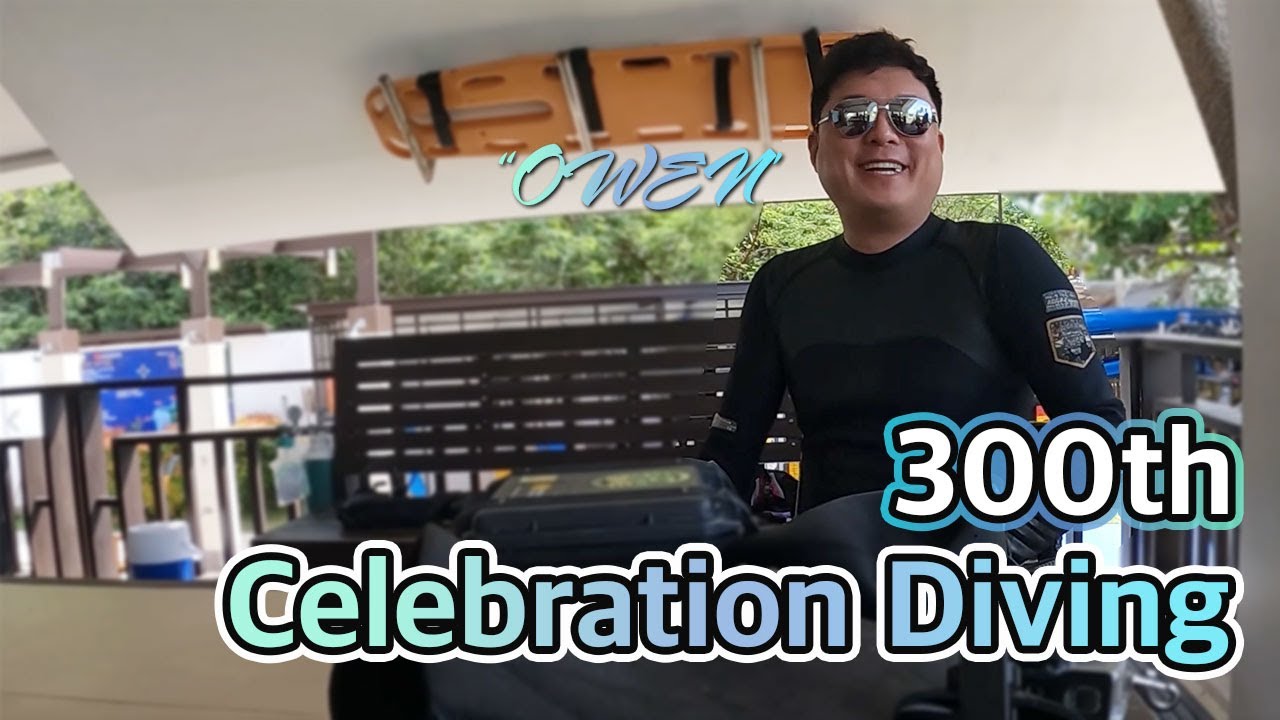 [Bohol Go2Dive] 300회 기념 다이빙 (축영상)