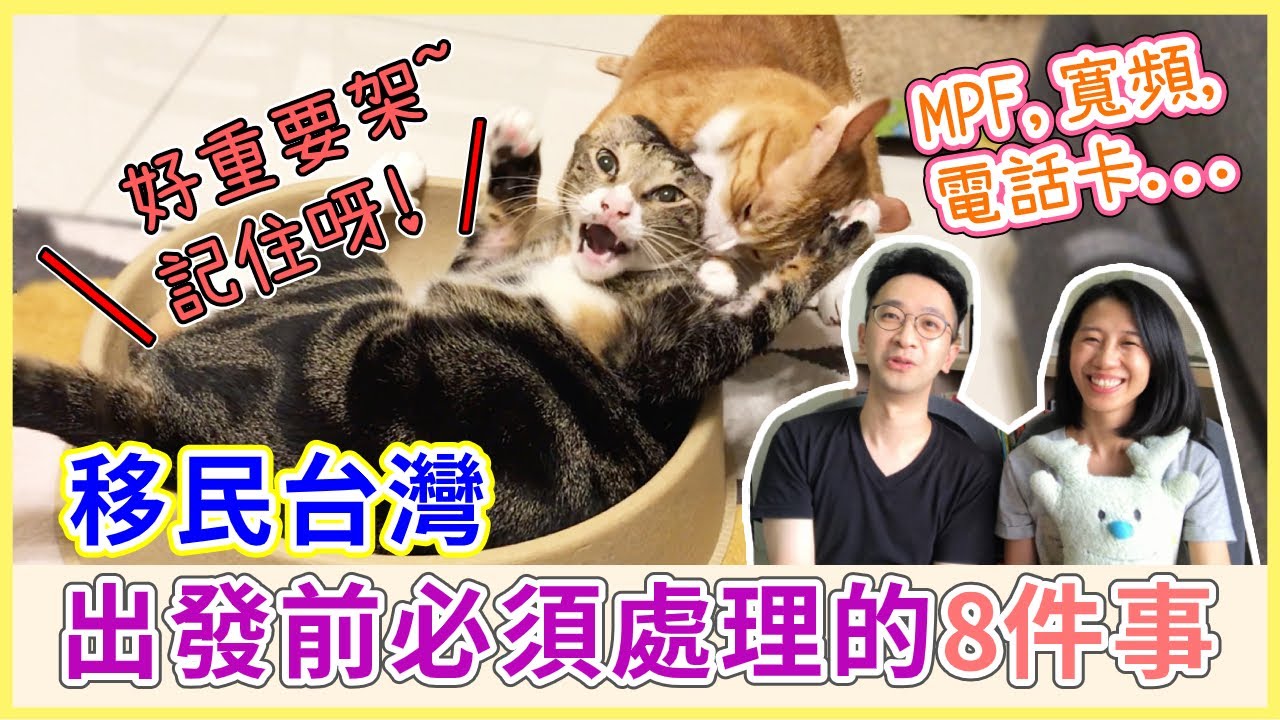 【移民台灣】離開香港前必須處理好的8件事｜MPF強積金、寬頻、電話卡、退租...｜貓奴與寵物移民紀錄 