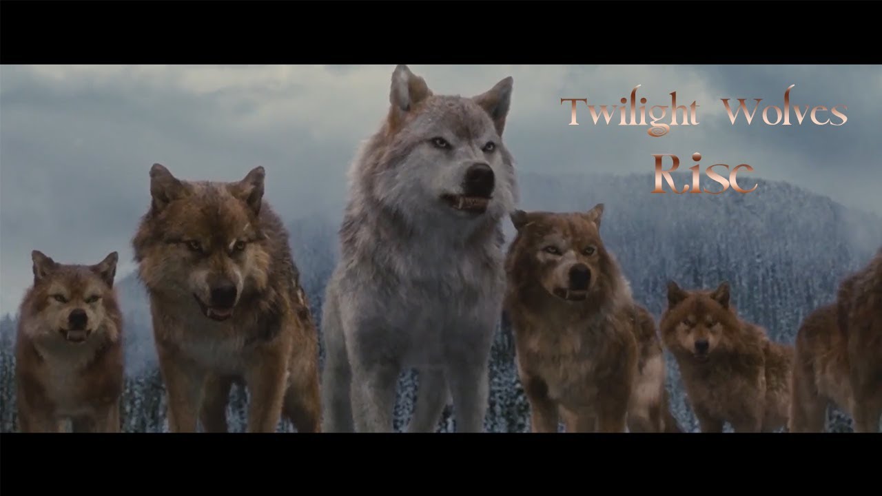 Twilight Wolves - Rise
