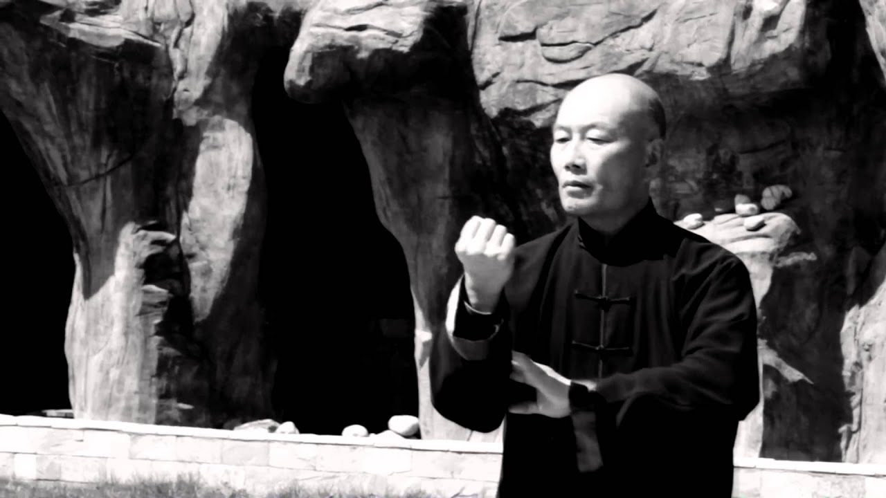 Сhen style Tai Chi - master Zhang Dong Hai - 太极宗师  张东海