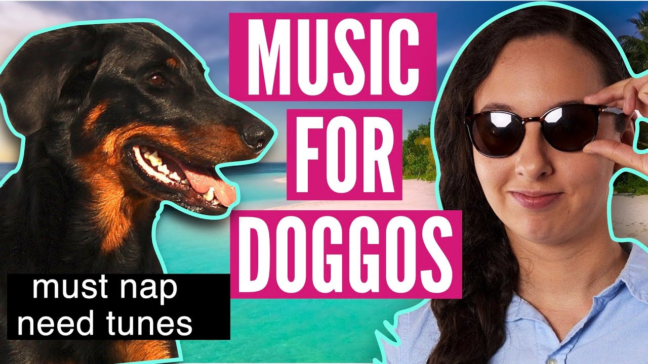 Music for leaving dog home alone while at work NO ADS
