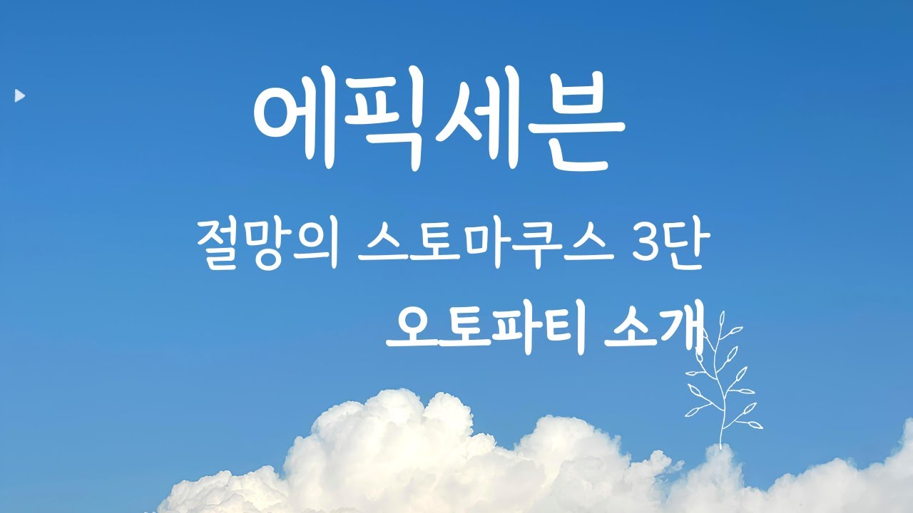 에픽세븐 ] 원정대 3단 오토 원펀 [ 절망의 스토마쿠스 (250903), 시더 스킬 off
