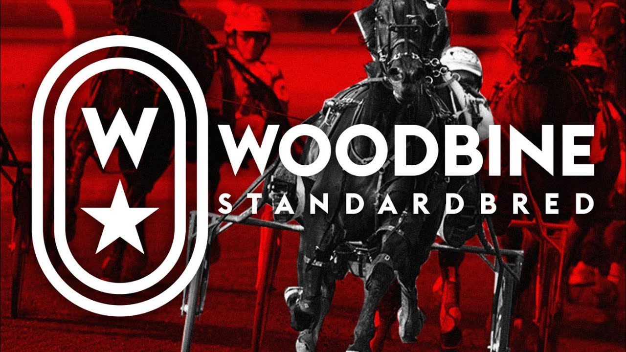 Woodbine Mohawk Park Racetrack - Friday, March 13, 2026