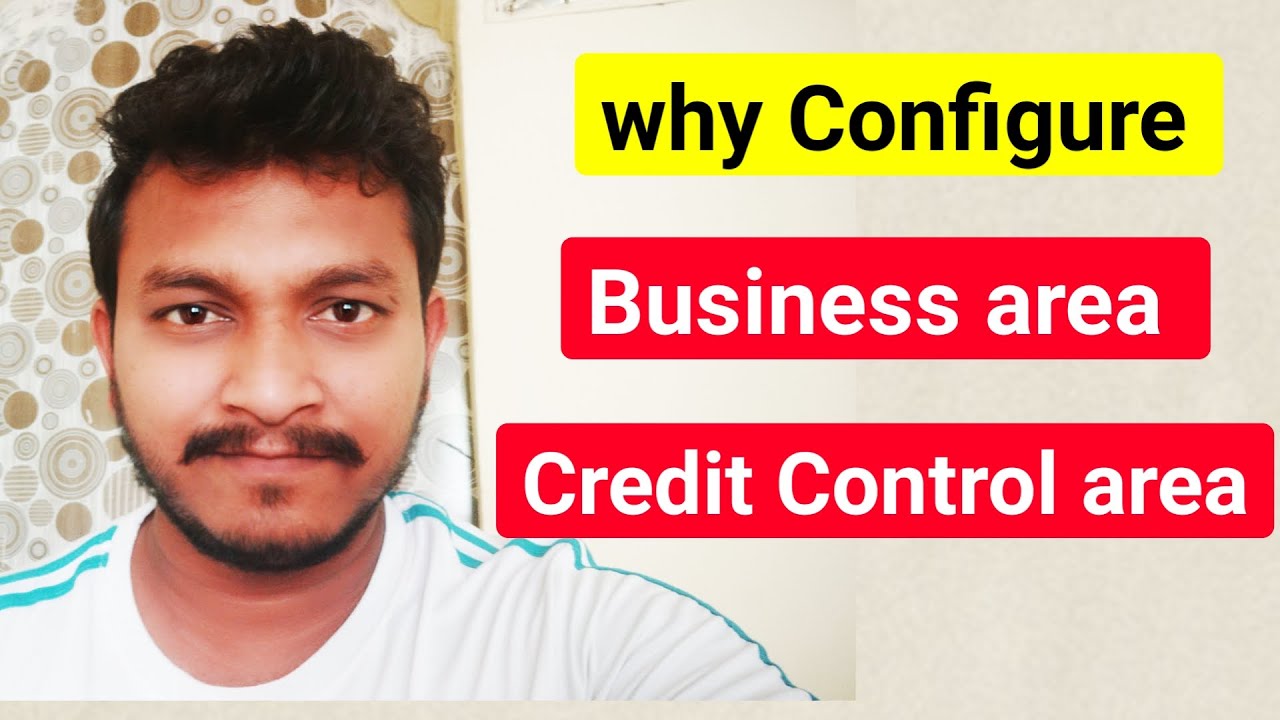 Why Configure Business area | What is Credit Control Area | Class 13