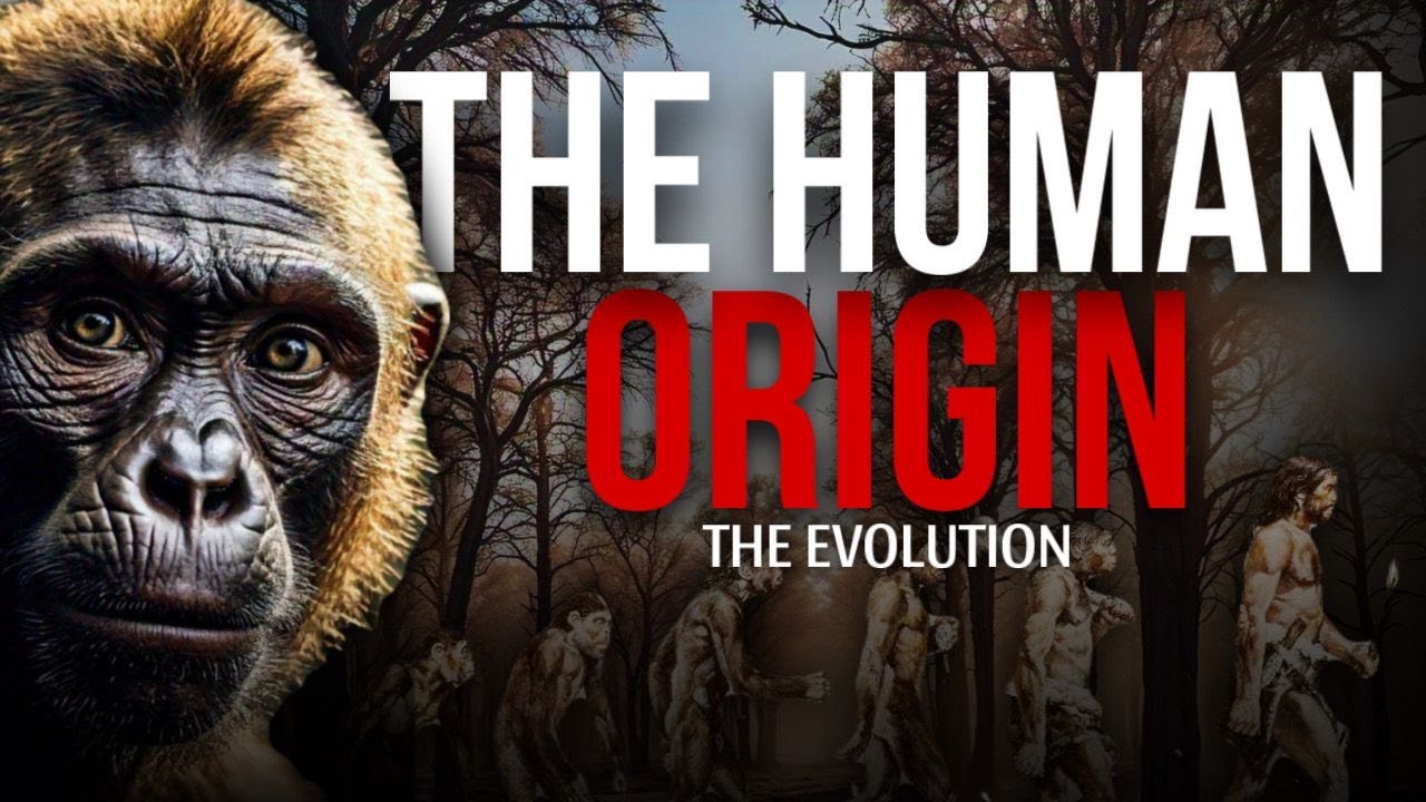 The Human Origin | Evolution | Part 1