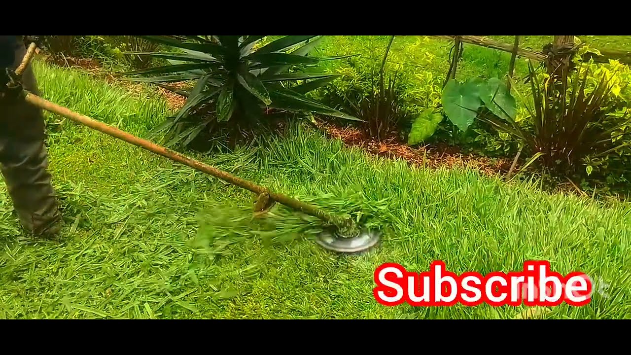 How to mow with blade cutter.