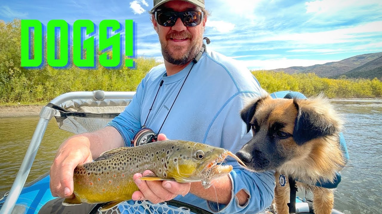 How To Fly Fish w/ your DOG!