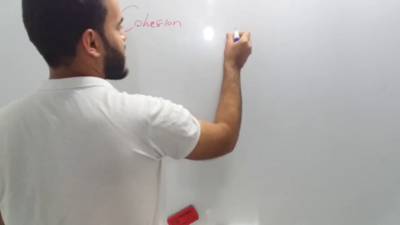 Chapter 11  discourse analysis, cohesion, coherence and speech events شرح باللغة العربية