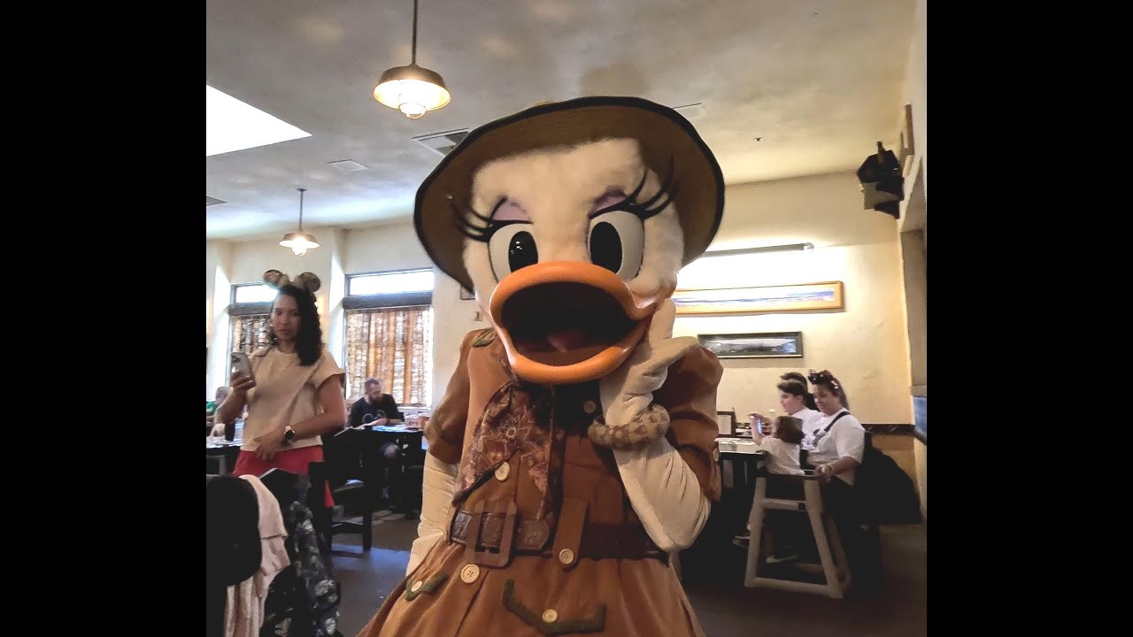 Tusker House Restaurant Donald & Daisy Kiss, Jambo-Jambo Song ~ Animal Kingdom Park, Africa, WDW, FL