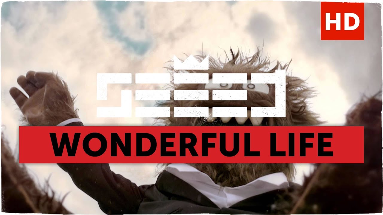 Seeed - Wonderful Life (Aargh Video)