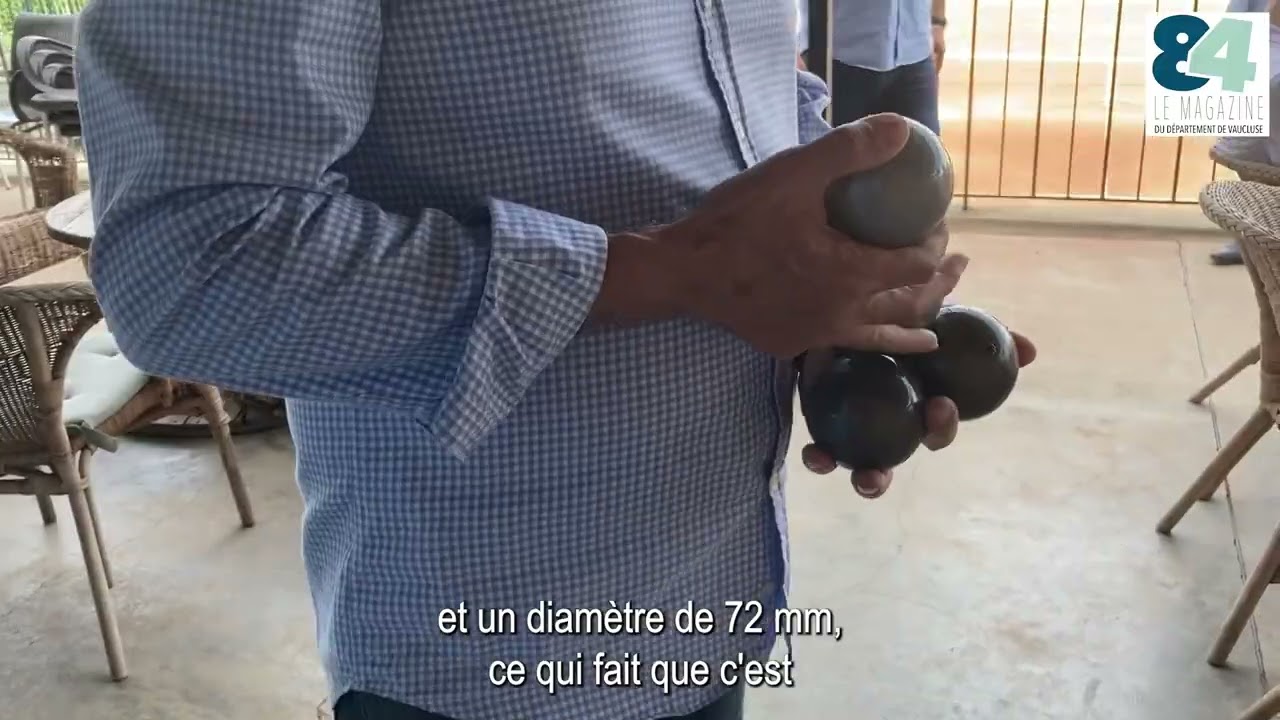 La pétanque se pointe à la maison !