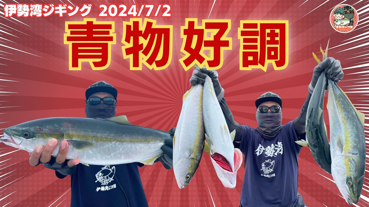 伊勢湾ジギング 2024/7/2　青物好調　奇跡のトラフグすくい　伊勢湾で一番フグに愛される男　＃伊勢湾ジギング　＃青物　＃トラフグ