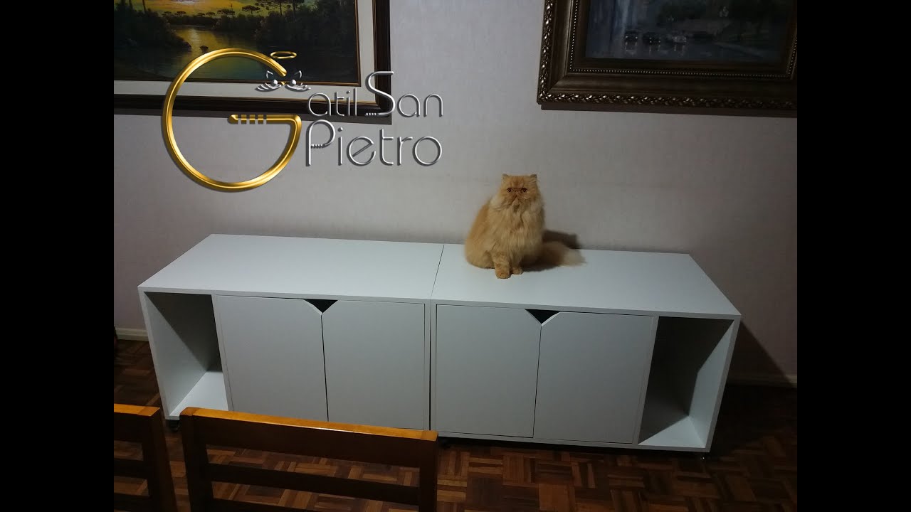 Banheiros para Gatos de Apartamento