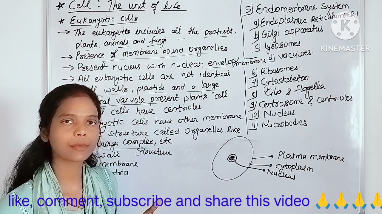 Cell: The unit of life (Eukaryotic cells - introduction and cell wall) class 11th Biology chapter 8 