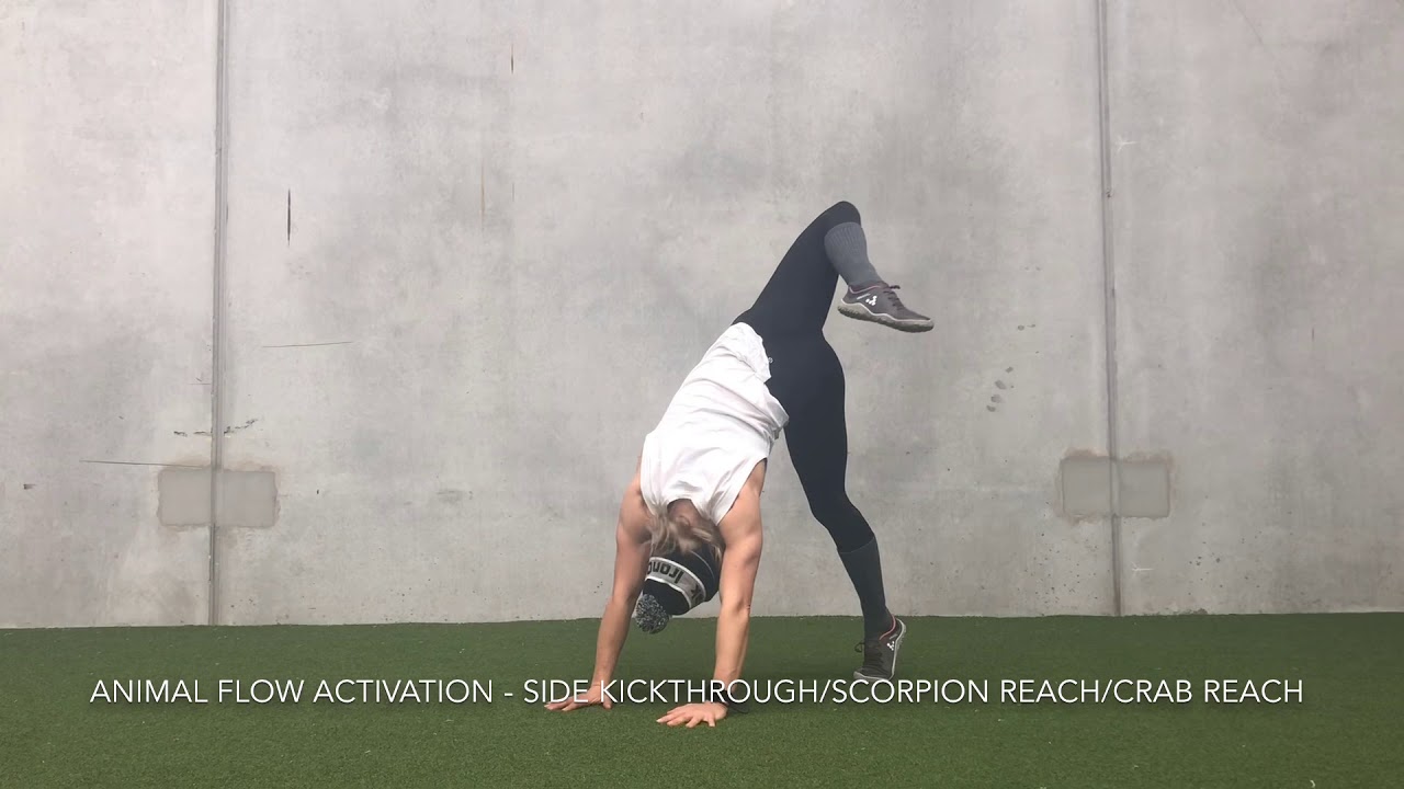 Animal Flow: Side Kickthrough/Scorpion Reach/Crab Reach
