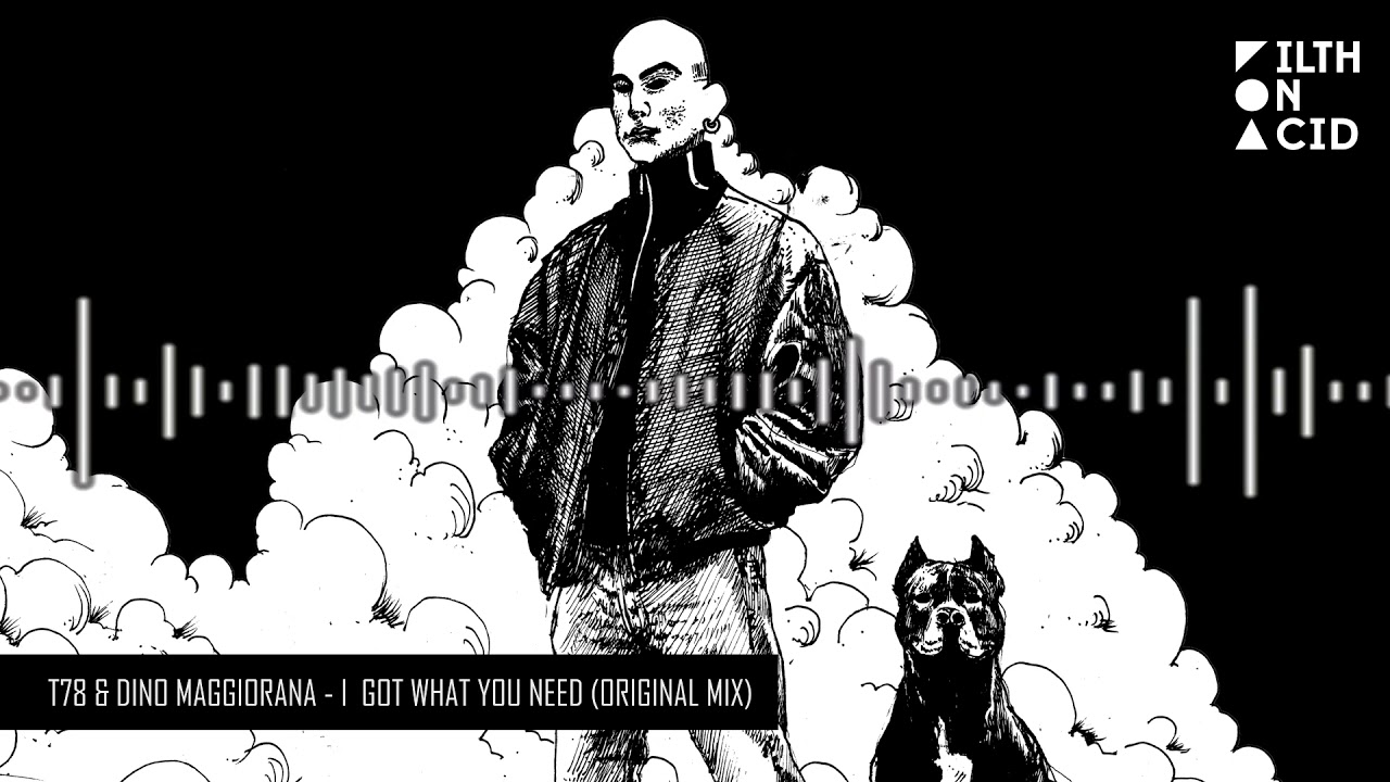 T78, Dino Maggiorana - I Got What You Need (Original Mix)