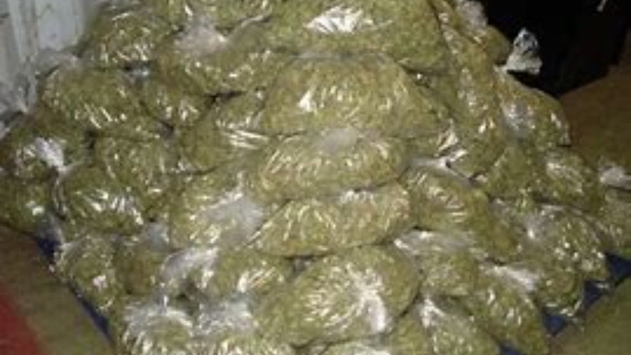 ITS 420 ALL MONTH LONG! DAY 1 MANGO HAZE BLUNT