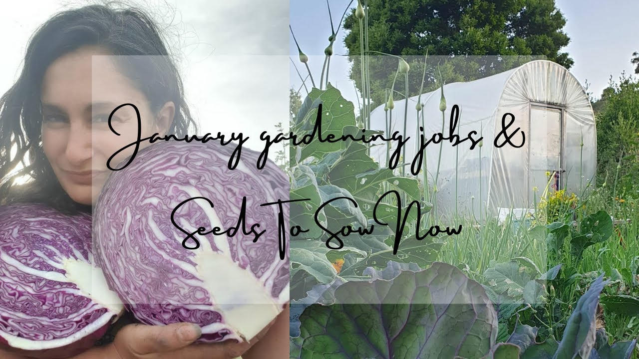 January Gardening Jobs & Seeds To Sow Now #permaculturegarden #permaculture #vegetablepatch #veggies