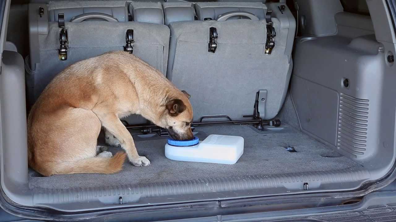 WaterBoy NO SPILL Travel Water Container By PortablePET