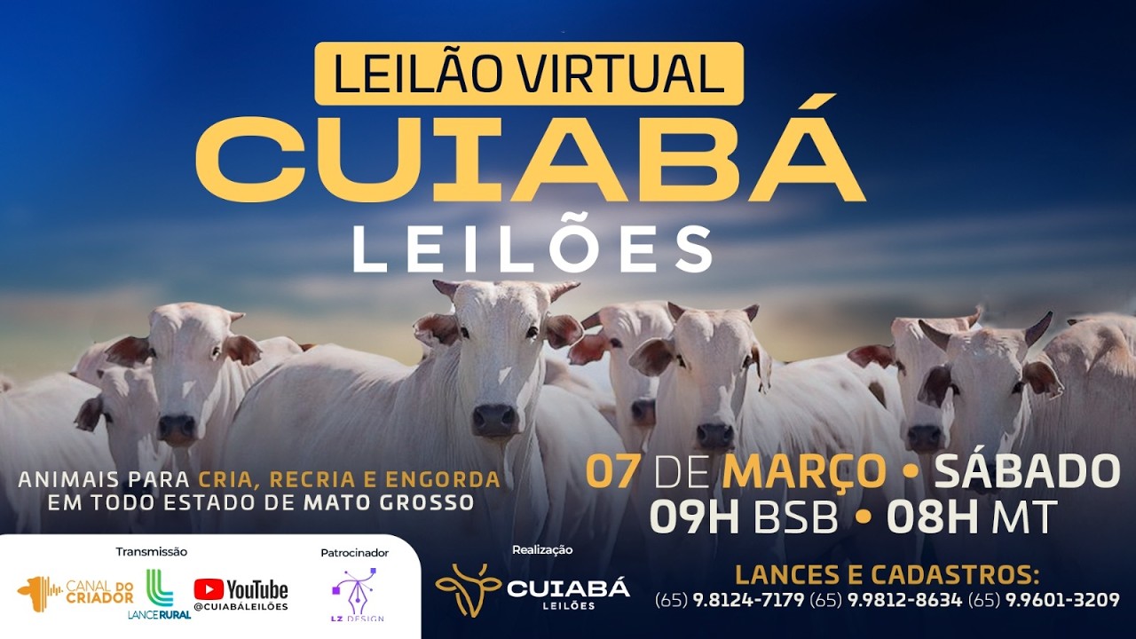 122° LEILÃO VIRTUAL CUIABÁ LEILÕES 07-03-2026.