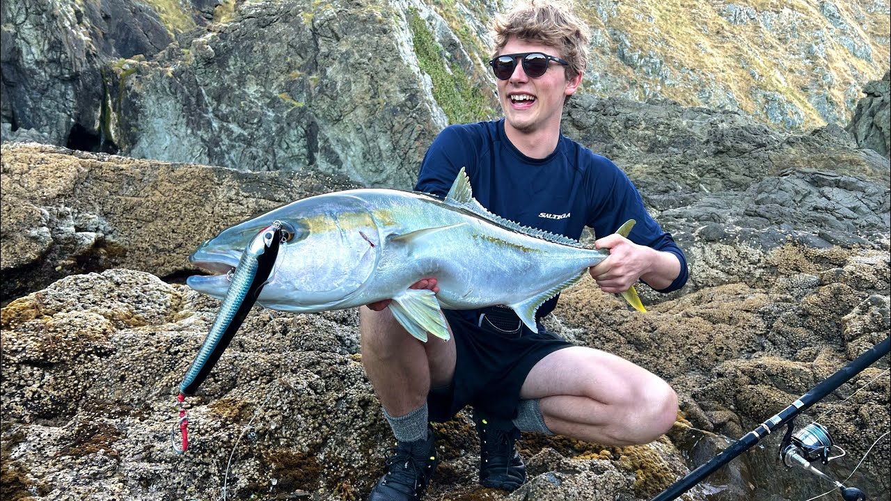 Big Wellington Kingfish