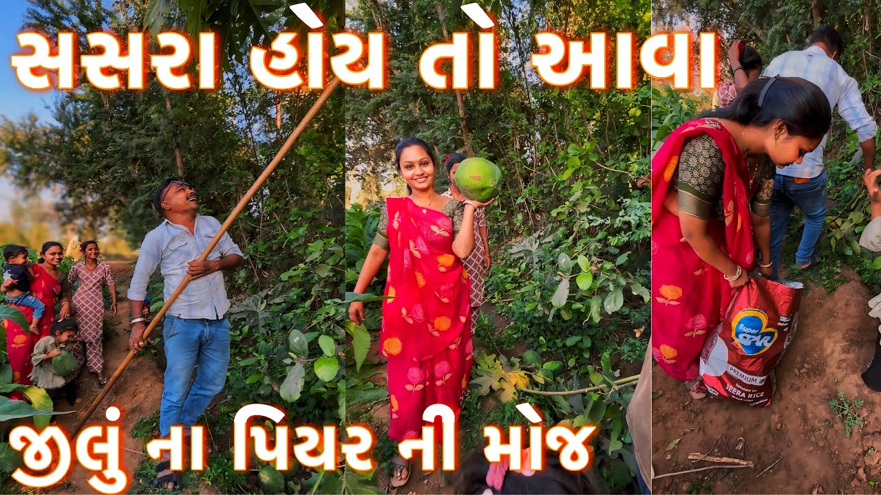 સસરા હોય તો આવા❣️આજે ગયા જીલું ના ખેતર માં । જુઓ 👀 ખેતર માં શું વાવ્યું છે। ગામડા ની મોજ 