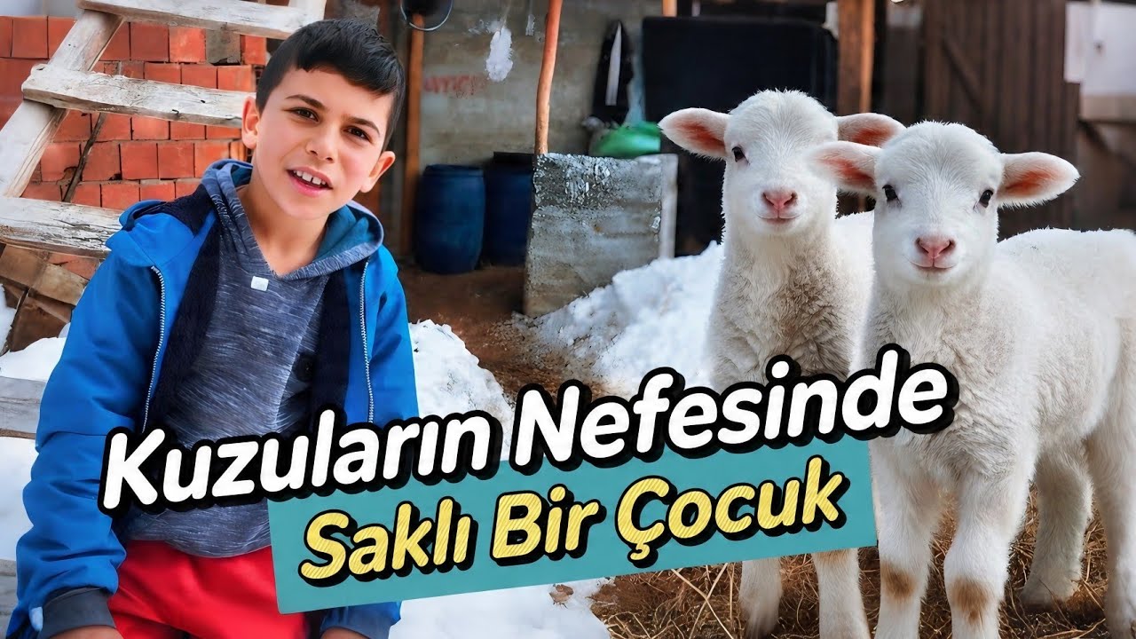 Kuzuların Nefesinde Saklı Bir Çocuk: Ertuğrul | Belgesel