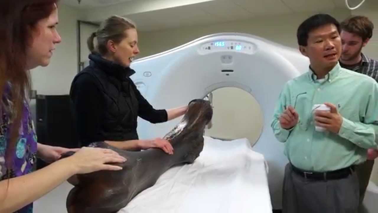 Seeing through rocks