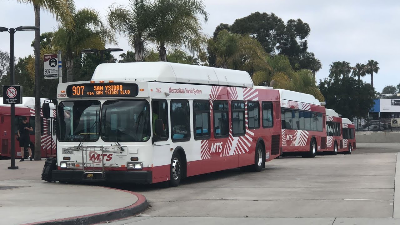 Metropolitan Transit System - MTS (San Diego, CA): Bus and Light Rail Compilation