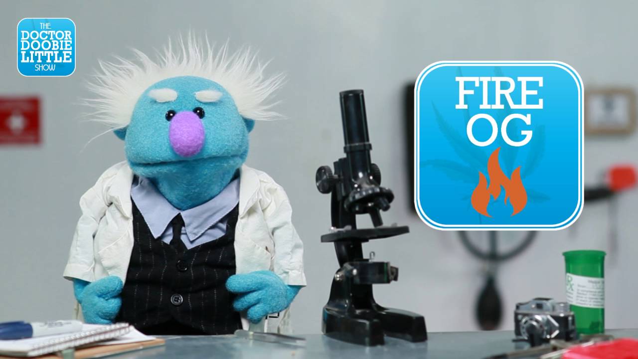 Dr. Doobielittle reviews: Fire OG