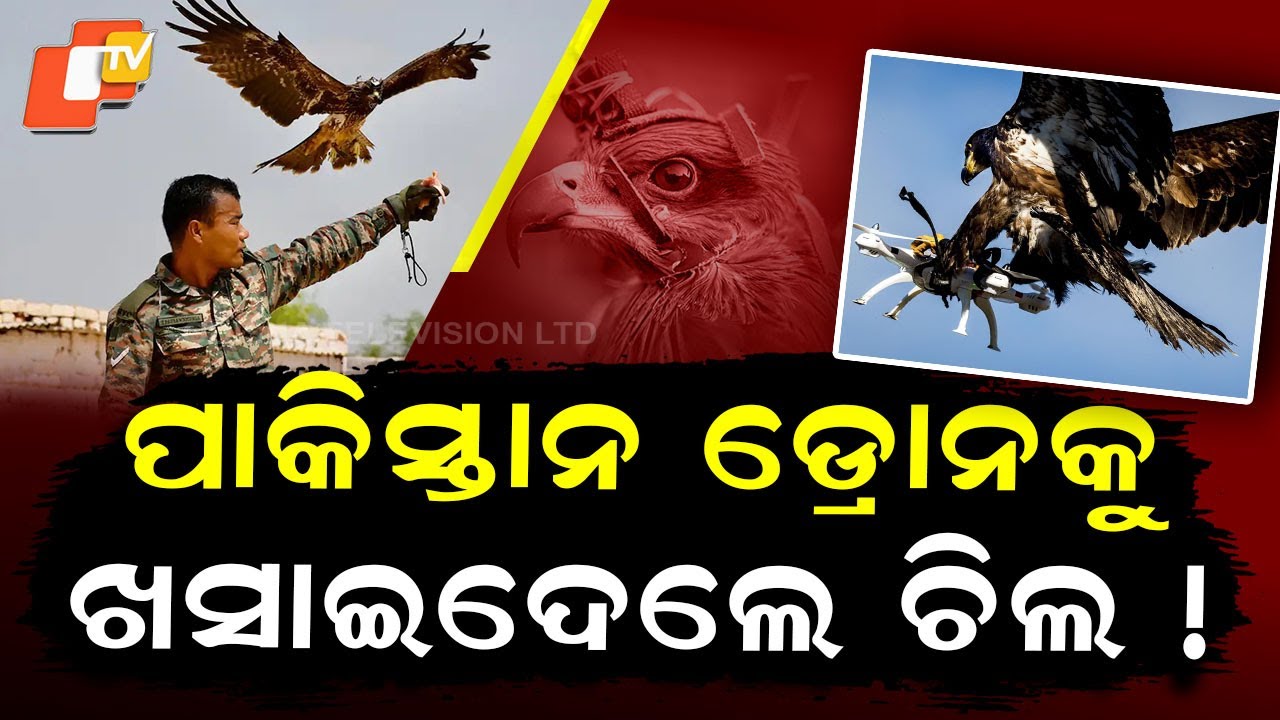 Special Story: Eagles Soar on Duty: Trained Birds Make Historic Debut in Republic Day Parade