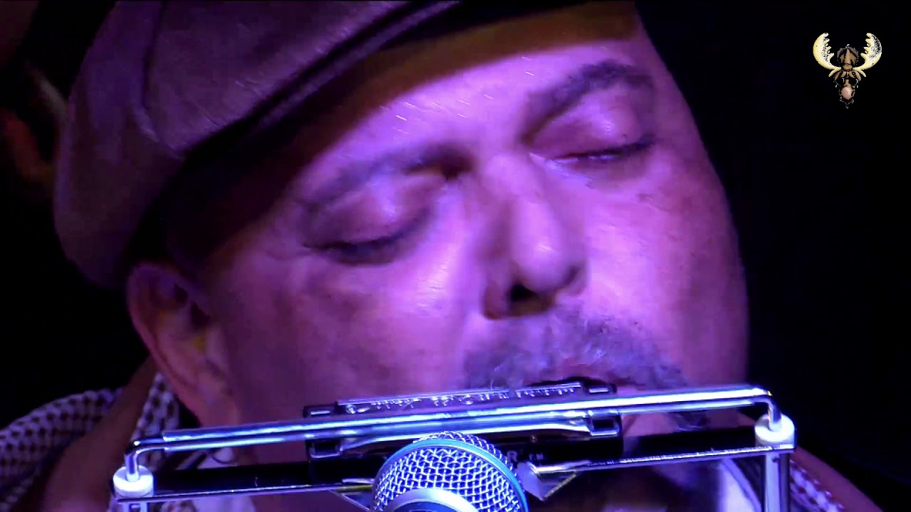 Kevin Burt - Feels like rain  - Live for bluesmoose radio