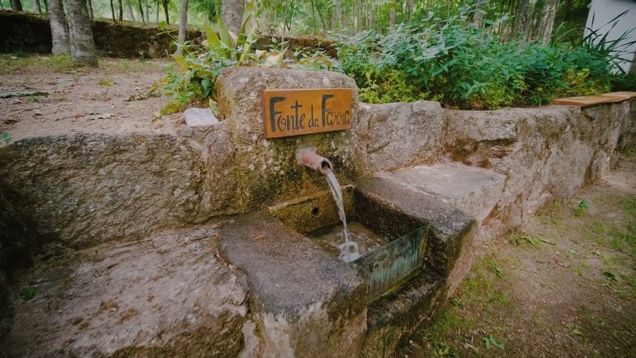 Quinta das Fontes - Alojamento Local - São Pedro do Sul, Portugal