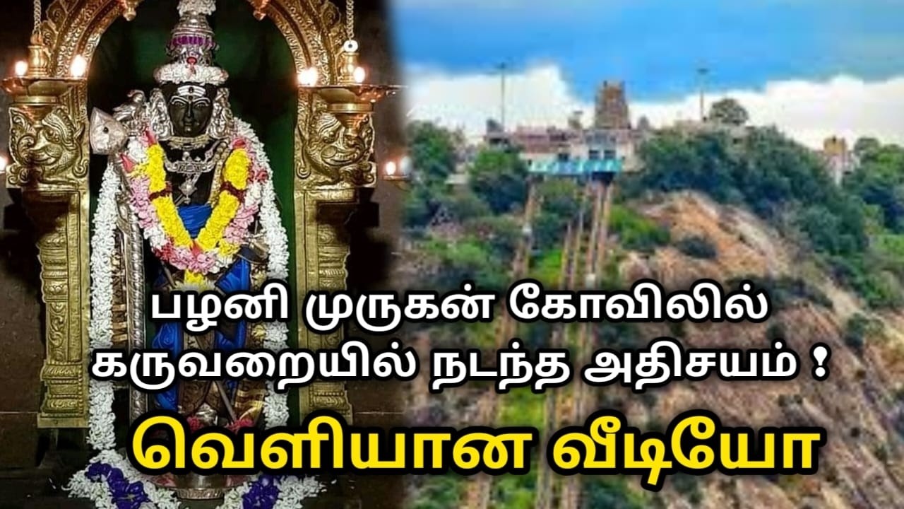 பழனி முருகன் கோவிலில் கருவறையில் நடந்த அதிசயம் ! வெளியான வீடியோ !