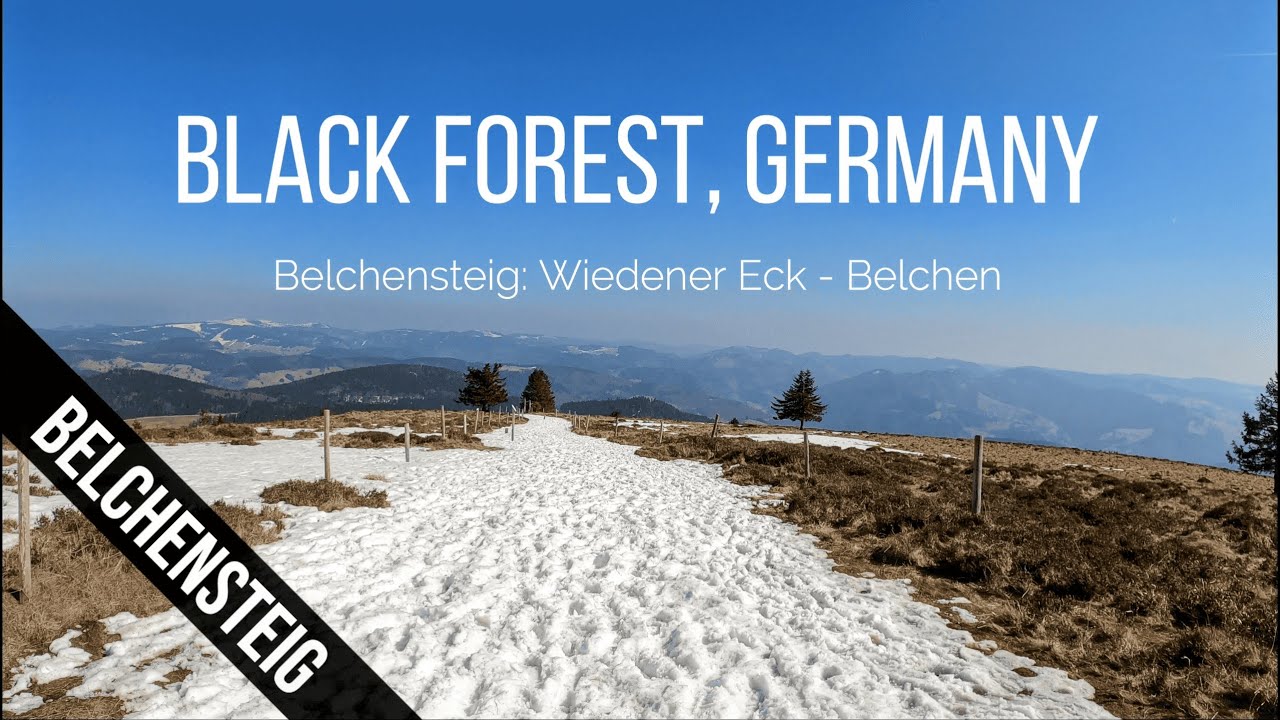Belchensteig | Hiking from Wiedener Eck to Belchen | Black Forest [Germany] | 4K