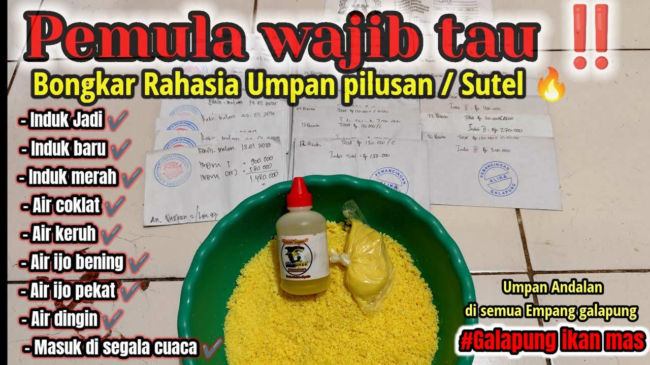 Sutel !!bongkar rahasia umpan sutel buat galapung ikan mas ||galapung ikan mas @antoncsfishing6070