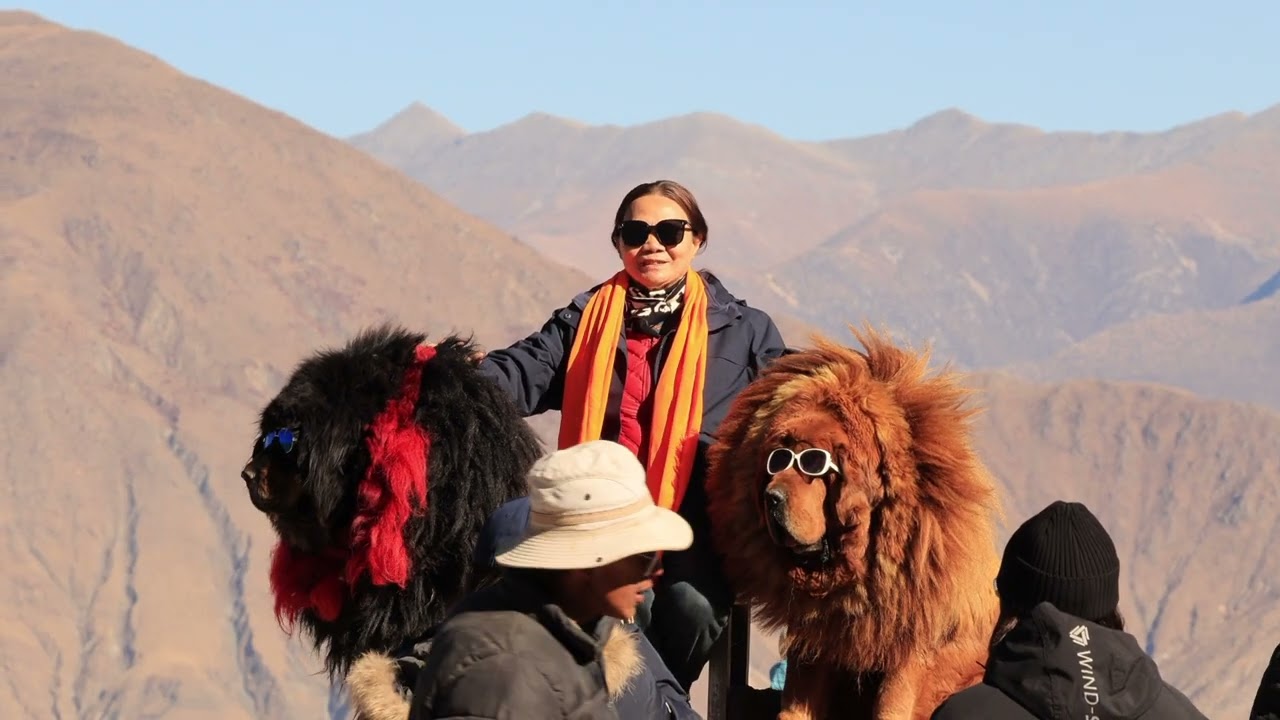Tibet
